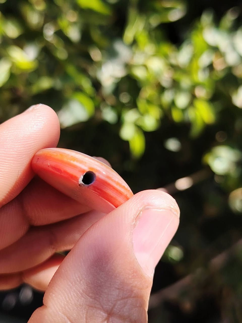 جزعه حمره قديمة ملاكط مشگوله ألمهتم يتفضل خاص ويدلل


**إذا كنت صاحب هذا الإعلان وتريد حذفه لأي سبب، رجاءا أرسل رسالة إلى الدعم الفني**