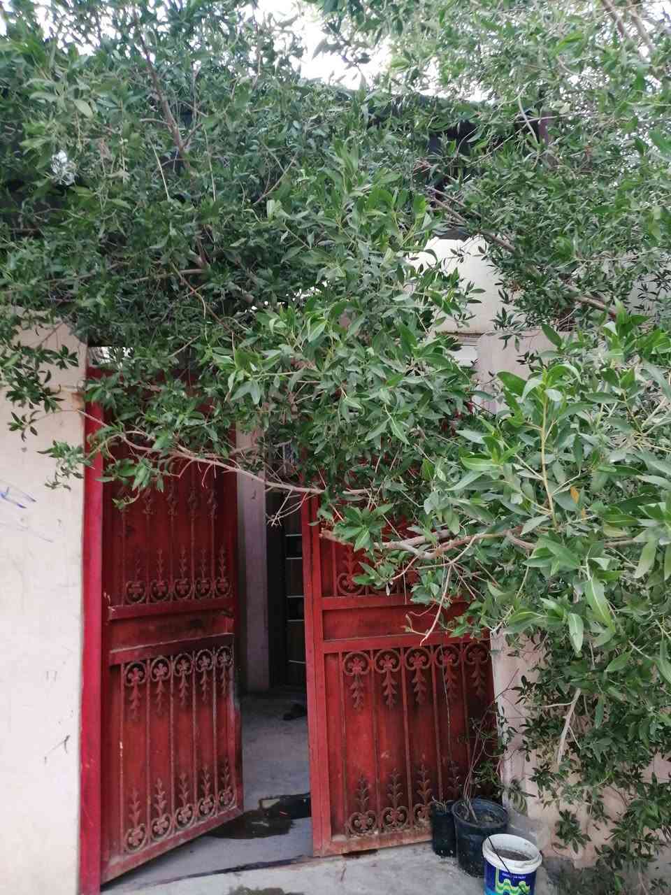 السلام عليكم ورحمة الله وبركاته....بيت مساحة 100م طولي 20*5 عرفه .صاله .مطبخ.استقبال خدمات....هاذا البيت .
سلبياته...خل اكلك لكدام حتى من تجي متنصدم 
بناء رباط كونكريت
جدران طابق جيري 
سقف كونكريت
جاهز يعني 

اكو بي نواقص مثليش سقف ثانوي يراد تبديل سطح يراد تطبيك. بي فطور بل جدران....انتبهلي بي الفطور بل جدران خالي حتى لا تكلي منتبهت مرتين كتبتهن خوش يعني بيت متواضع لا اكلك درجة اولا ولا غير شي هل موجود ...عجبك وقتنعت كل الهلا بيك ماعجبك الله يوفقك بل احسن .سعره 70على هذا كلام تجي للبيت بي مجال .بل فيس تعلق يعني شراي ...سعره سعر بيوت زراعي ....للعلم حتى ما انسى بي حائط مشترك بيني وبين بيت اخوي من نتفق واذا جعل الله مقسوم الحايط الك المشتري .تمام .... حي النداء منطقة ال 56....رقمي بي وتساب ***********.او***********
