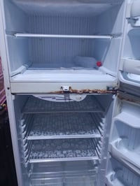 تجمد فول • تماتيك عاطل • حي العسكري