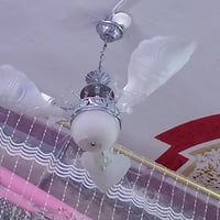 نضيفات • شقالات • زوج