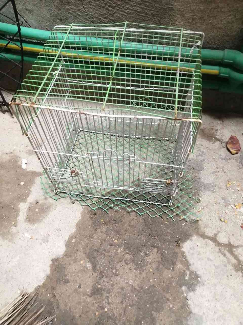 متاح قفصين ب١٠ واحد جديد المكان نجف مكتب رشيد اليريده يتفضل خاص تحياتي


**إذا كنت صاحب هذا الإعلان وتريد حذفه لأي سبب، رجاءا أرسل رسالة إلى الدعم الفني**