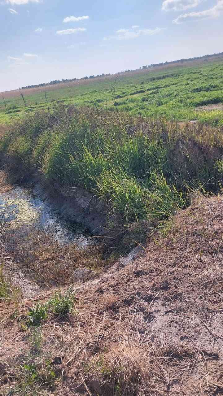 السلام عليكم  ارض للبيع طابو صرف قريبه عشارع العام كهرباء وماء متوفر المساحه ٥ دوانم ونص للستفسار اتصل ***********
مكلف بنشر
