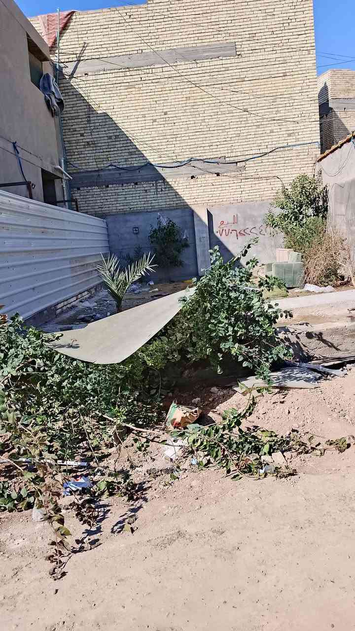 قطعه ارض الأمين سكينه قرب القناة زراعي شارع روضه اليقين 90متر وجه 8 شراي يخابر  ***********مقاطعه 14/3 زراعي سند 25 شراي يخابر 8فرع على القناة قرب بازيخانه الجبهه
