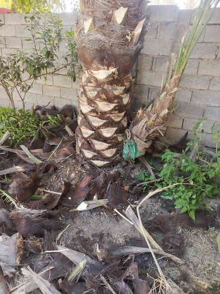 لعنده تكريب او تنضيف اني بل خدمه *********** بي واتساب
