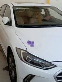 النترا • ٢٠١٧ • كربلاء