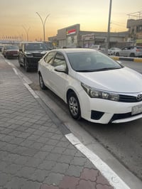 كورله • ٢٠١٥ • بصره