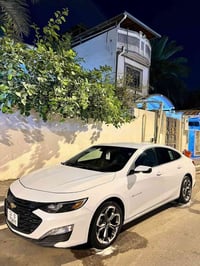 ماليبو • ٢٠٢٤ • بصره