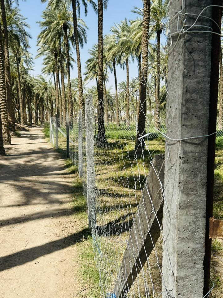 #شركة_النجاح_للبي_ارسي_BRC
بسم الله الرحمن الرحيم
  

تخفيضات في تجهيز الأسيجه مع استشارات هندسية مجانية نعمل في جميع المحافظات وعنوانك قريب علينا

#علماً أن الأسعار تبدأ من 4 الف الى 12 الف المتر كامل كرستة وعمل حسب المواصفات المطلوبة من الزبون
 ￼⁨0770 242 5424⁩
🔨 نقدم مجموعة واسعة من
 الأسيجة والملاعب الخماسية، مع جميع الملحقات من أعمدة كونكريت وحديدية، ونسج السيم بكافة الأحجام والقياسات. نوفر أيضًا مجموعة متنوعة من الچوادر بألوان مختلفة.

🍀 بالإضافة إلى ذلك، نقدم أسوار العشب الأخضر المميزة لمظهر طبيعي وأنيق
💰 أسعارنا تنافسية، مع أسعار خاصة للأسوار العشبية.

☘ بالإضافة إلى ذلك، نقدم عمل وتجهيز كافة أعمدة الكهرباء بجميع القياسات وانواعها

مستعدون لتجهيز دوائر الدول والحدائق العامة والخاصة بكل مايلزم من المواد 💐

وكذالك بيع جميع انواع بواري القناطر بجميع القياسات والأحجام 

👷‍♂ فريقنا المتخصص والمتمرس، بخبرته الطويلة في هذا المجال، يضمن لكم خدمة عالية الجودة والكفاءة. 

🚀 نعمل في جميع أنحاء العراق لنقدم لكم أفضل الخدمات بأسرع وقت.

📞 للطلبات والاستفسارات، يرجى الاتصال على الأرقام التاليةاومراسلة على الواتساب :                             
( واتساب )  
- ￼⁨0770 242 5424⁩ واتساب
