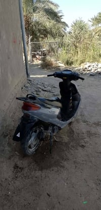 دراجة دولفين • مراوس