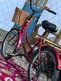 بايسكل • تكريت الزهور