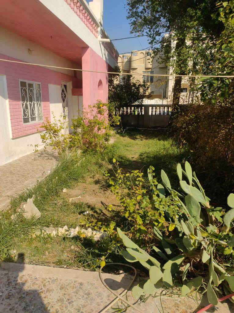 بيت للايجار مساحة ٤٠٠ متر 
العنوان كفاءات مقابل سيد هاشم 
للاستفسار *********** دهل اوران, واسط
