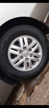 مراوس بويل 17 • ويل مفتوح • جديد