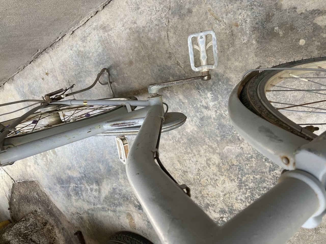 ‘
سلام عليكم بايسكل للبيع اي نقص مابي نضيف 

مكاني شهربان الأحمر.     السعر ٤٠ بي مجال 

الرقم *********** متواجد خاص أو واتساب
