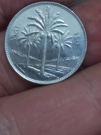 ٦قطع • عراقي • نظيفه