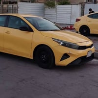 ٢٠٢٢ • حادثه • سمكره وصبغ