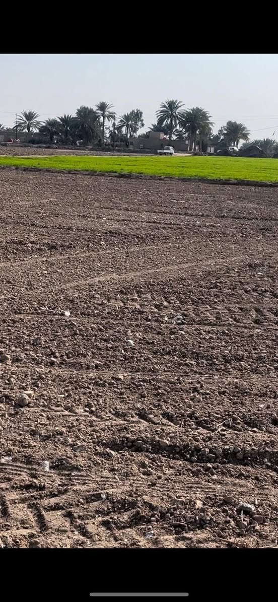 ارض طابو زراعي المساحه 2 دونم
🏢طابـو زراعـــي ســند 25 تحــويل مباشر 

💡تتــوفر فيها كـــافه الخـــدمات

🚰اســـاله كهرباء مـاء سقي

 🏢محدده ومفروزه 

🏞️العنــوان بابل ورديه خــارج قرب سيطره البوطيف 

📲.     الاتصال ***********
