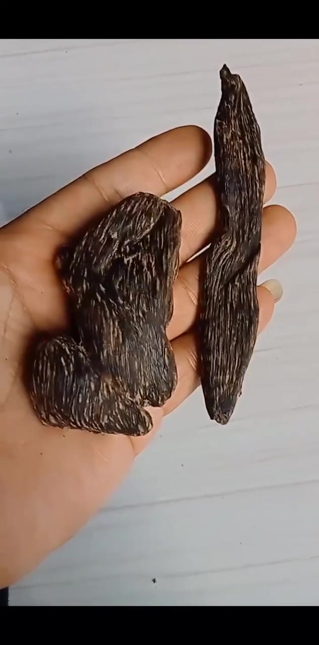 agarwood


**إذا كنت صاحب هذا الإعلان وتريد حذفه لأي سبب، رجاءا أرسل رسالة إلى الدعم الفني**