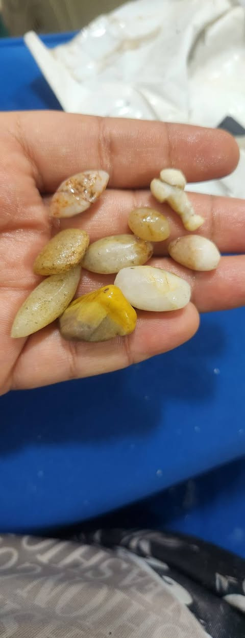 السلام عليكم مجموعه احجار ومجموعه قلايد للبيع بسعار مناسب واتساب *********** او على خاص موجود توصيل لجميع المحافظات العراق
