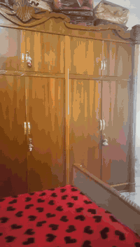 سلام عليكم غرفةاخشاب للبيع استخدام قليل االسعر خاص او علئ رقم *********** واتس اب
