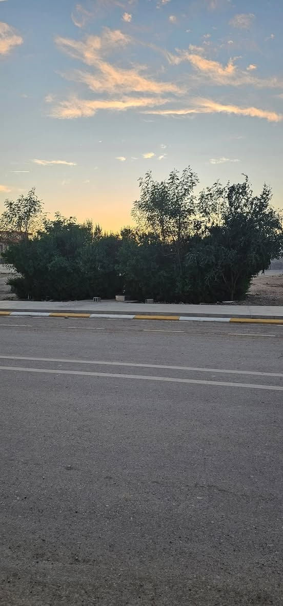 السلام عليكم 
🏡ئه م خانوو بۆ فرۆشتن نرخي كونجاوه بو ئه وه ي نرخي خانوه كه ت زوو بي بكات لايكي به يجه كه مانت بير نه جيت 
♦️ شوێن کەلار/ شاره وانى دوو نزيك قوتابخانه ي ئامانجه و له سه ر جاده ي قيرتاوه
♦️رووبەری 100مەتره له سه ر باني واتا(10×10)  روكنه و  نيمجه توجاريه وبيشي  باخجه يه  
♦️پێکهاتووە لە  دوو قاتوو نيو كامل   ده رجي   داخليه
ايستا ده توان بينرمان بن له تيك توك 
________________https://www.tiktok.com/@aqarat.salam?_t=8qpyWdXvvaC&_r=1

_______________________________↘️⁩
_______________________________↘️⁩
عقارات سه لام بو كرين و فروشتن و بةكريداني  مولك بةخيراي و بةمتمانةوة بةكةمترين كات 
په يوه نديمان پيوة بكةن 
      
 ئێوەی بەڕێزیش گەر موڵکتان هەیە دەتانەوێ بیفرۆشن یان دەتانەوێ بەکرێی بدەن
دەتوانن تەواوی زانیاریەکان بة نامةي مسنجةر بنيرن بو پةيجةكةمان 

📌 ناونیشانی تەواوی موڵکەکەت
🏡 چەن وێنەیەکی موڵکەکەت
💲 نرخی موڵکەکەت

بو زانياري زياتر په يوه ندي بكةن به زمارانه

*********** سه لام تايبه ت به كرينو فروشتن 👉👉👉
*********** م صالح تايبه ت به كريداني خانوو
________________________
