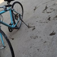 بايسكل • ٢٧بوصة • ويل معوج