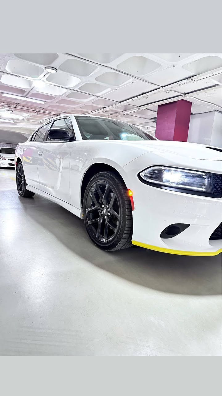 DODGE CHARGER GT  2023

للبيـع: دوج جارجر  GT بلاس 2023 

وارد امريكي

✨الضرر : بابين تبديل

✨قراءة العداد : 41 الف ميل 

✨رقم نينوى مميز💯مع كوبون بانزين 

مواصفات : 

المحرك v6*3600

رادار امامي*

رادار جانبي *

* ويل قياس 20 

* ستيرن رياضي .

* نقطة عمياء .

* مصابيح أمامية زنون .

* كشافات الضباب زنون .

* المصابيح الأمامية مع LED .

* حساسات .

* شاشه كبيرة مع نظام ملاحة نفكيشن GPS.

* الشاشة مع اويشنات .

* سستم صوت الپاين .

* فتحت سقف (سلايد) 

• مقاعد جلد كنتاره

* مقاعد أمامية كهربائية عدد 2 .

* ذاكرة لحفظ وضعيات الجلوس (ميموري) .

* مقاعد أمامية تبريد وتدفئة .

* تشغيل عن بعد .

* ستيرن كهربائي .

* تدفئة ستيرن .

* محدد سرعة .

تلفون بلوتوث .

* كاميرا خلفية .

* مرايا متحسسة للاضاءة العالية .

* السعر اتصال***********
*********** واتساب
