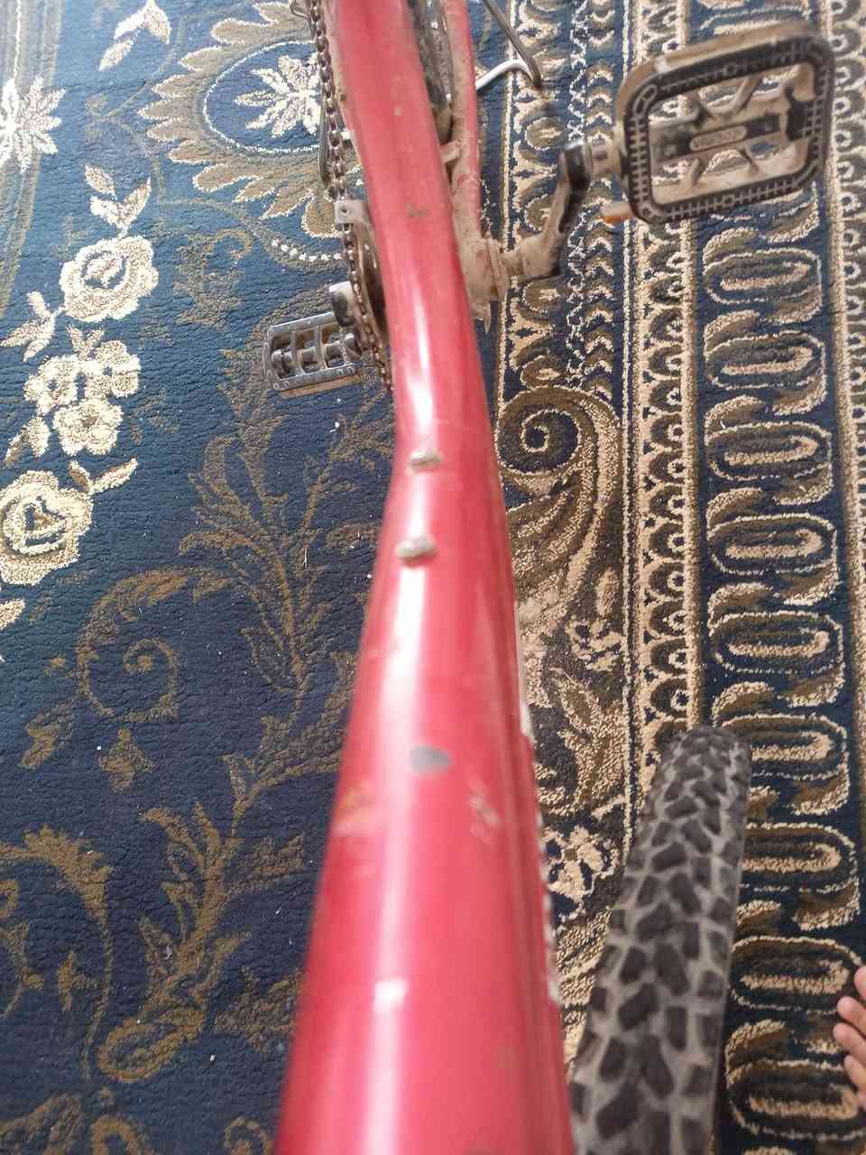 السلام عليكم للبيع بايسكل او مراوس شرط خمش ما مخموش السعر خاص


**إذا كنت صاحب هذا الإعلان وتريد حذفه لأي سبب، رجاءا أرسل رسالة إلى الدعم الفني**