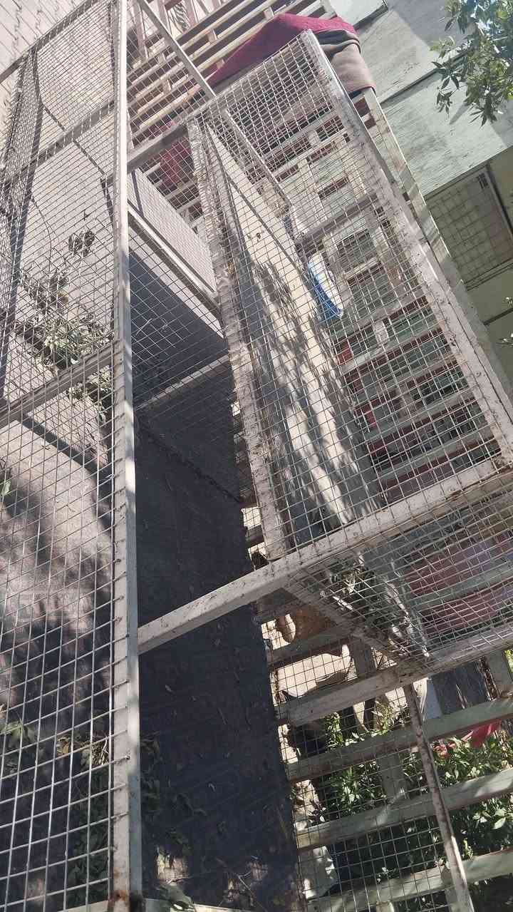 اقفاص دجاج للبيع ثنين شراي بخدمته سعرهن ،250 وهذا رقمي ***********
