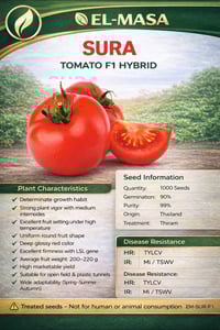 سري تايلندي • مقاوم فيروس • ٢٥٠-٣٠٠غم