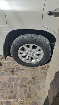 جنوط ١٧ • مراوس ١٣ • بغداد