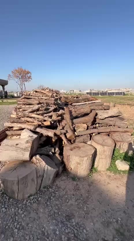 بسم الله ،خشب للبيع يابس وكميه خير من الله 
وقابل للزياده ،*********** العنوان الكوير قريبه ع كركوك
