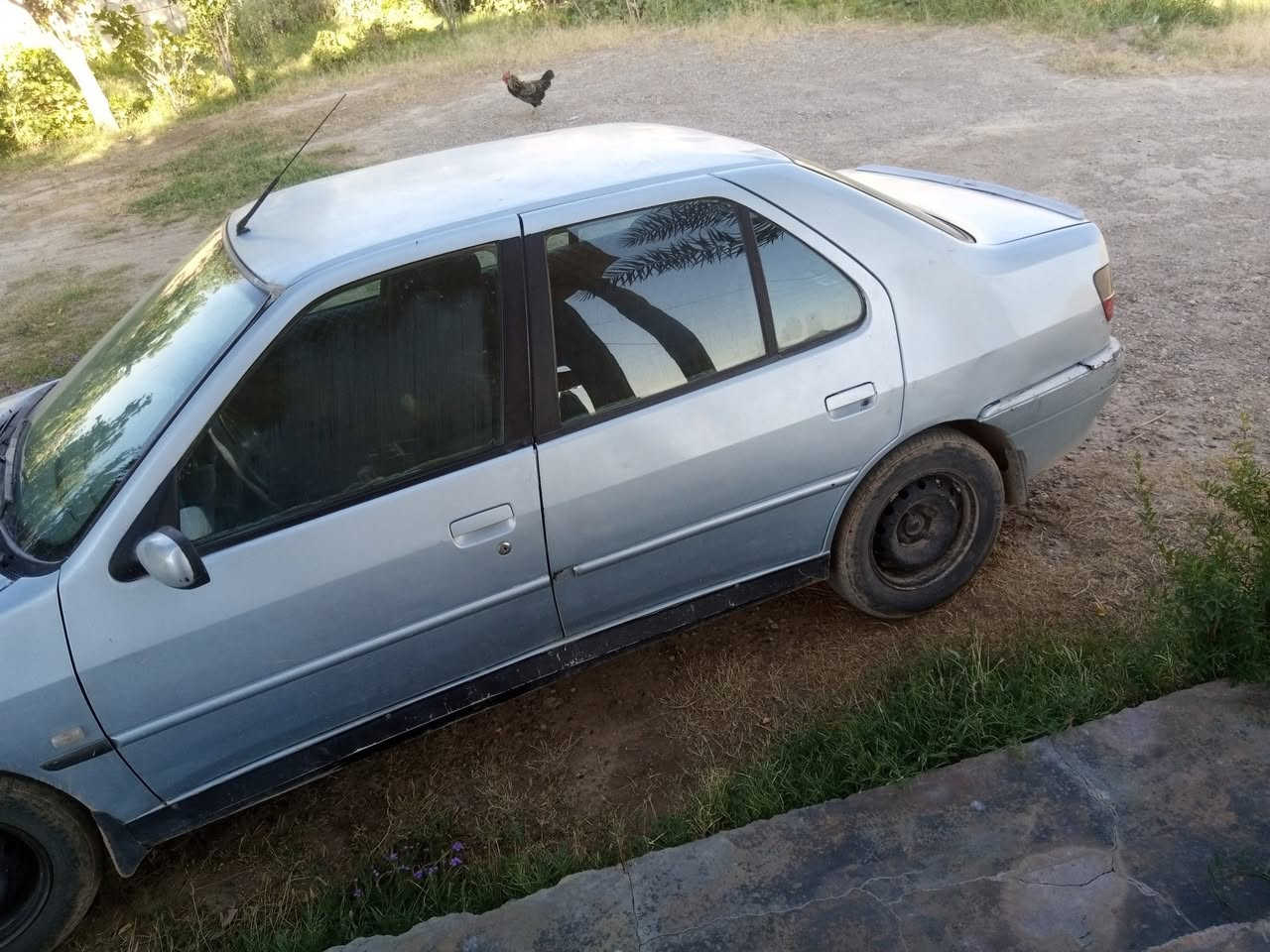 السلام عليكم للبيع  سيار نوع بيجيو موديل 2002 مطلوبه  رقم صلاح الدين   وكاله عامه ابسمي من الشرعي محرك گير نضاف مابيهه صبغ صدر تايرات جديد باقي تفاصيل اتصل عل رقم 📱 *********** مكان السياره الشرگاط سديره
#السعر 28 وبيهه مجال
