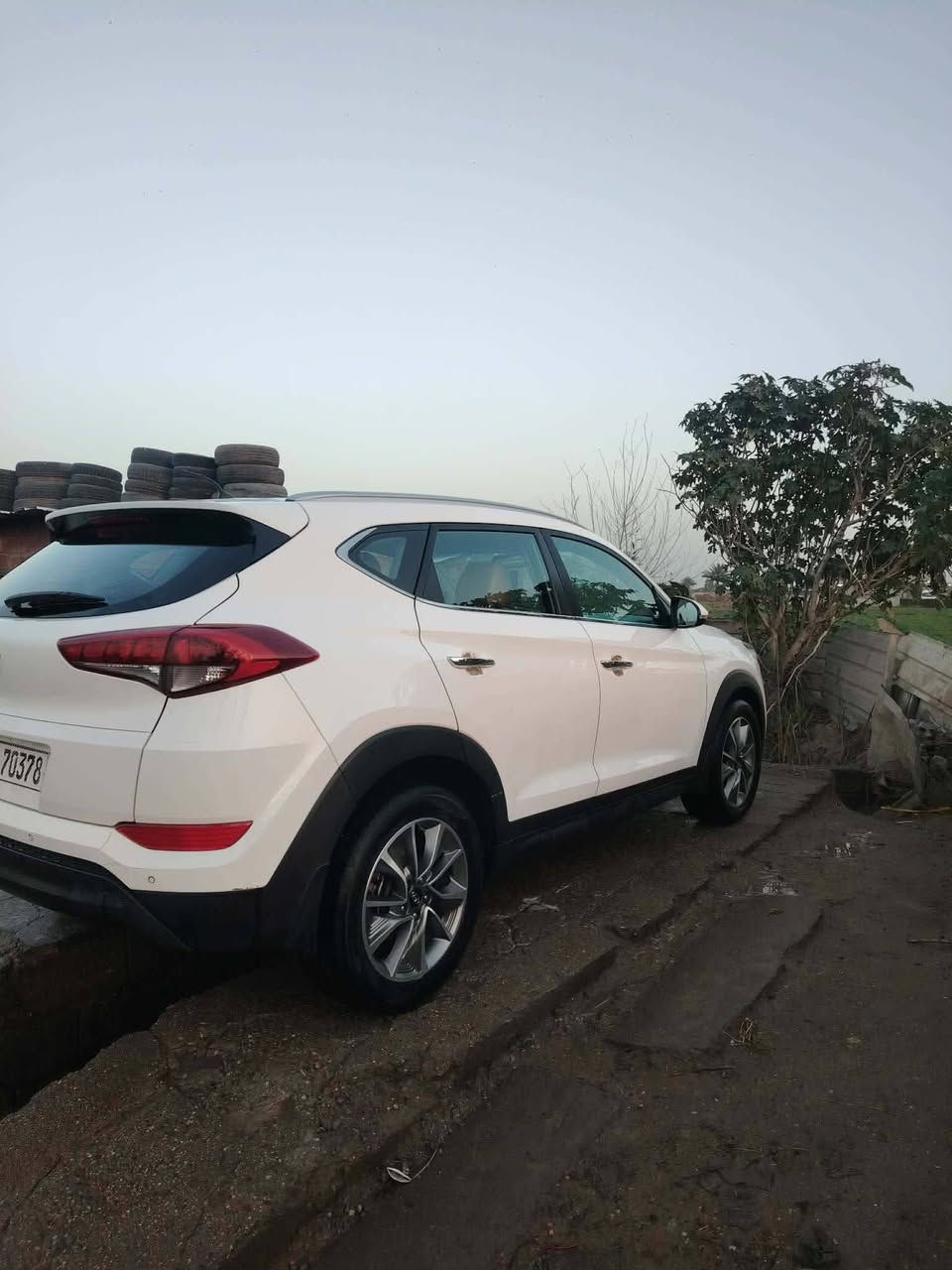 السلام عليكم
توسان خليجي 18 مكفوله كفاله عامه لا ضبغ 
ولا بادر ولا طخه ولا ضربه 
مكاني بغداد
السعر 190
*********** بغداد ابي غريب
