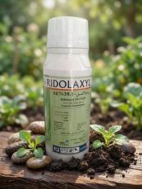 الريدولاكسيل • مبيد فطريات • تعفير البطاطا