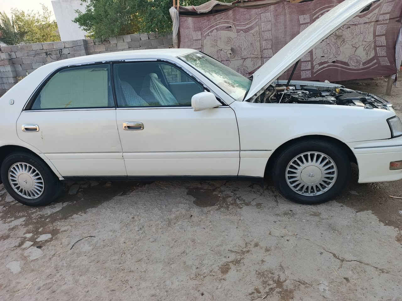 راس الثور فلات العنوان ميسان سنويا جديده
التواصل رقمي ***********
