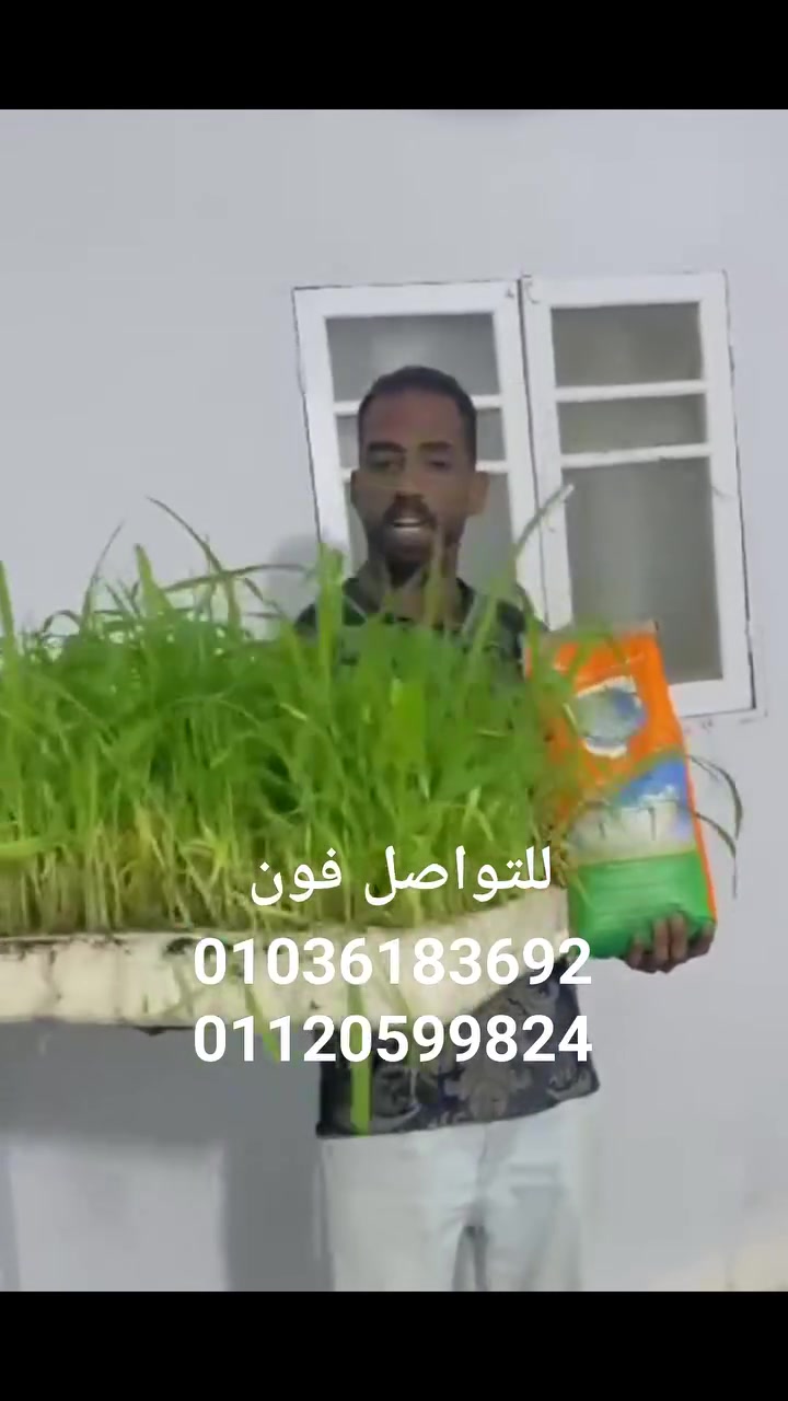 بادر بحجز علف البونيكام البرازيلي الاصلي من شركة شموس وهو الاول في العالم من حيث التكلفه الأوفر والجوده العاليه تواصل علي رقم 
للتواصل فون 
01036183692
01120599824


**إذا كنت صاحب هذا الإعلان وتريد حذفه لأي سبب، رجاءا أرسل رسالة إلى الدعم الفني**