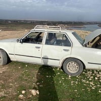 محرك شرط • كير شرط • بصرة