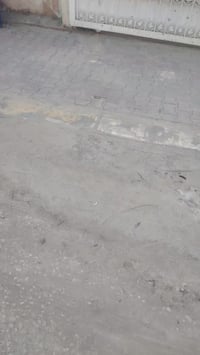 حي رحيمة • ١٢٥م • طابقين