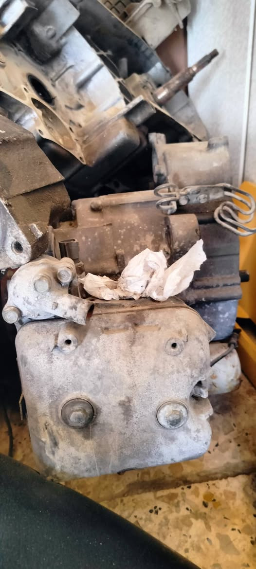 تفصيخ 08 
كوت حي الجهاد 
توصيل موجود 
***********
