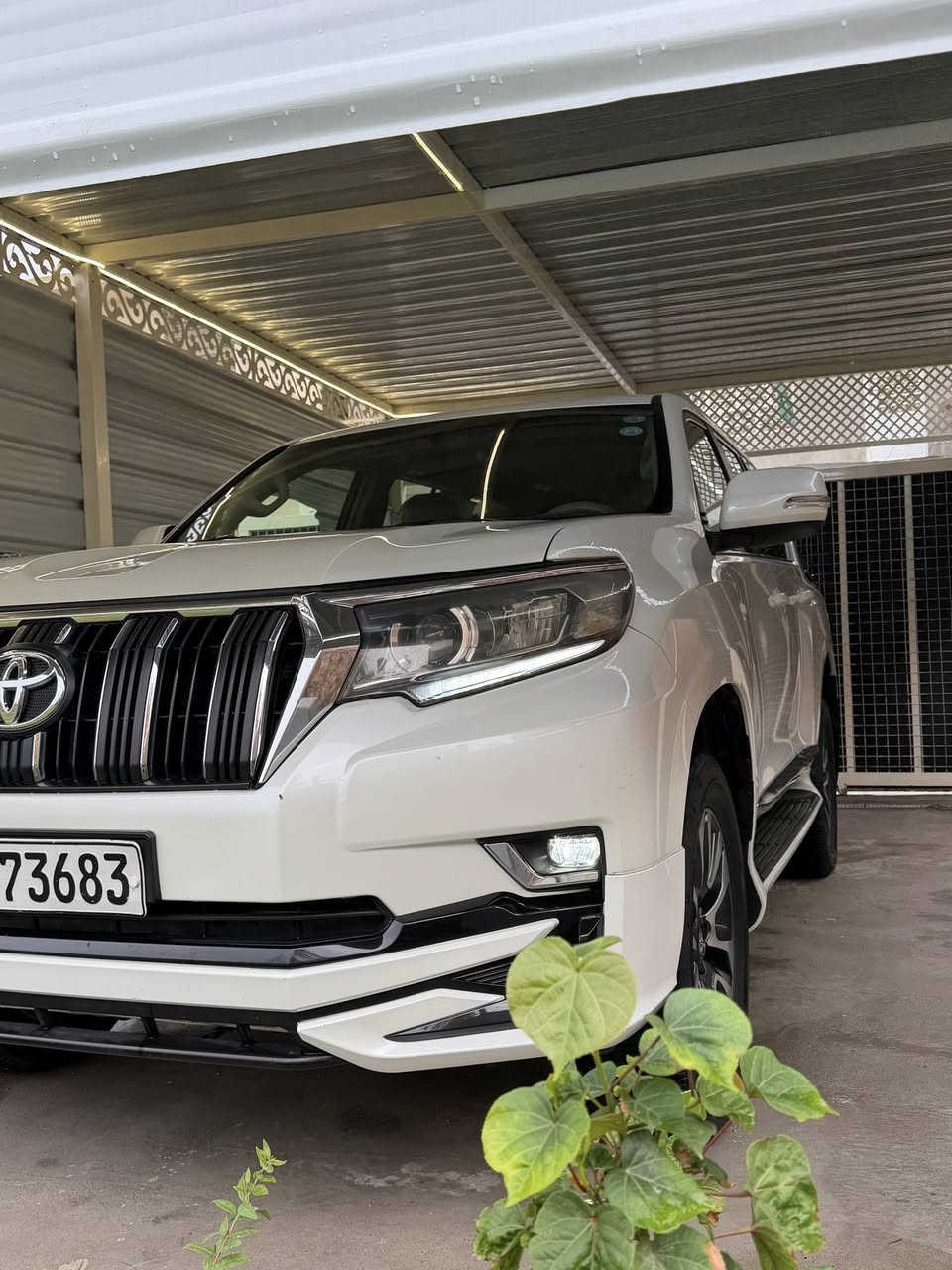 السلام عليكم
تيوتا  برادو 2023

#المواصفات

 🔹النوع :  تيوتا برادو 

 🔹الموديل : 2023 لون ابيض  

🔹بصمة تشغيل عند بعد

🔹داخل بيجي  

🔹بكليت لد 

🔹تحكم ستيرن

🔹ويل كب حجم 19 

🔹شاحن واير ليس

🔹شاش + كامره 

🔹حساس خلفي 

🔹كشنات جلد 

🔹كشنات عدد 2 كهرباء 

🔹مري شفط 

🔹فتحه سقف 

🔹كروس سرعه 

🔹بصمه + تشغيل عن بعد 

🔹ثلاث قطع تبريد 

🔹فتحت USB

🔹شاحن واير ليس 

🔹ثلاجه.  

🔹نضام الدفع الرباعي 

السياره مكفوله كفاله عامه 
 
السعر $435

العنوان / بغداد / المحمودية 

========================
للاستفسار اكثر عن تفاصيل السيارة يرجى الاتصال 
📲 ‭٠٧٥٠ ٥٢٩ ٠٧٧٣‬وتساب
***********
