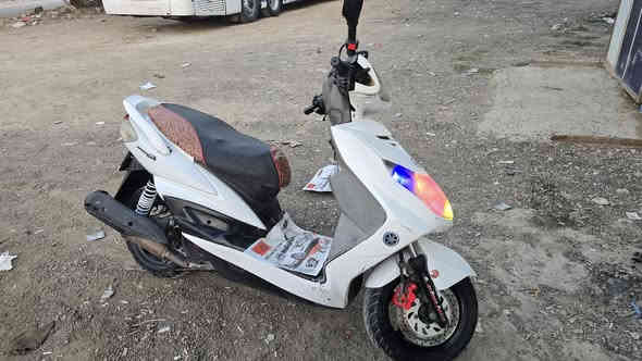 السلام عليكم سكنس فحل للبيع السعر ٦٠٠ الف مكاني بغداد الغزاليه ***********
