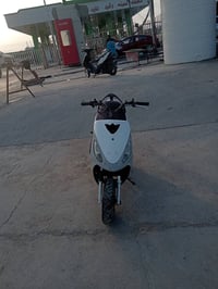 منغولي • ٥٥ • مزود