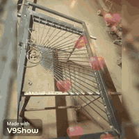 حدادة • سندوش بنل • اربيل