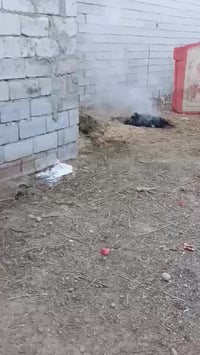 حي العباس • ١١٥م • سند زراعي