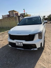 ويل 20 • دبل • ٧ راكب