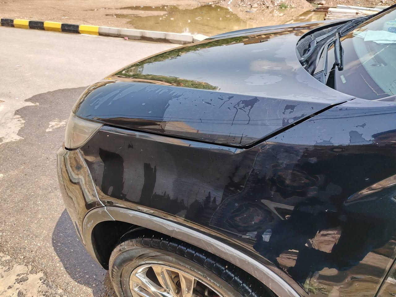 سورنتو 14وارد أمريكي فول ماعده الفاتحه ماراوس أو بيع 
لون اسود رقم بغداد تحويل. ثاني يوم
جاملغ خلفي تبديل جاملغ أمامي
السياره حداديه وتخم كامله من كلشي
للعلم الحقيقه احله من الصور
السع 137$بيه مجال
الاتصال ***********
