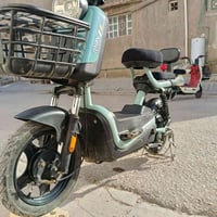 بريمر ريان • حجم ١٤ • ٤ بطاريات