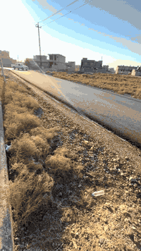 تاجي • دونم • واجهة 37