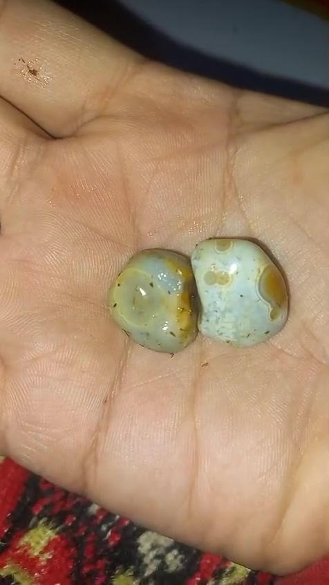 سليمان البيع سعر خاص


**إذا كنت صاحب هذا الإعلان وتريد حذفه لأي سبب، رجاءا أرسل رسالة إلى الدعم الفني**