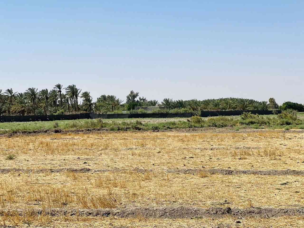 سلام عليكم ارض زراعيه للبيع 
العنوان طريق كربله نجف عمود 301 
ام نعجه للاستفسار اكثر  المساحه 7 دونم 
 ‭0783 885 1910‬
